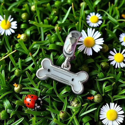 Bone Charm