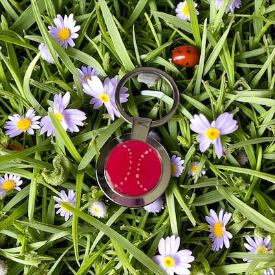 The Dogs Ball Keyring