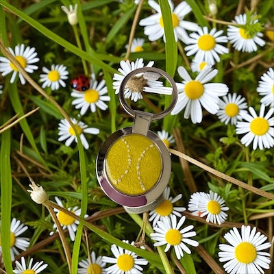 The Dogs Ball Keyring