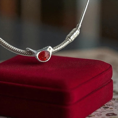 Little Robin Charm